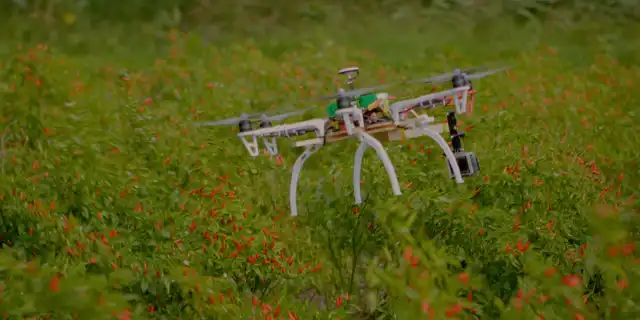 Drone Harvest